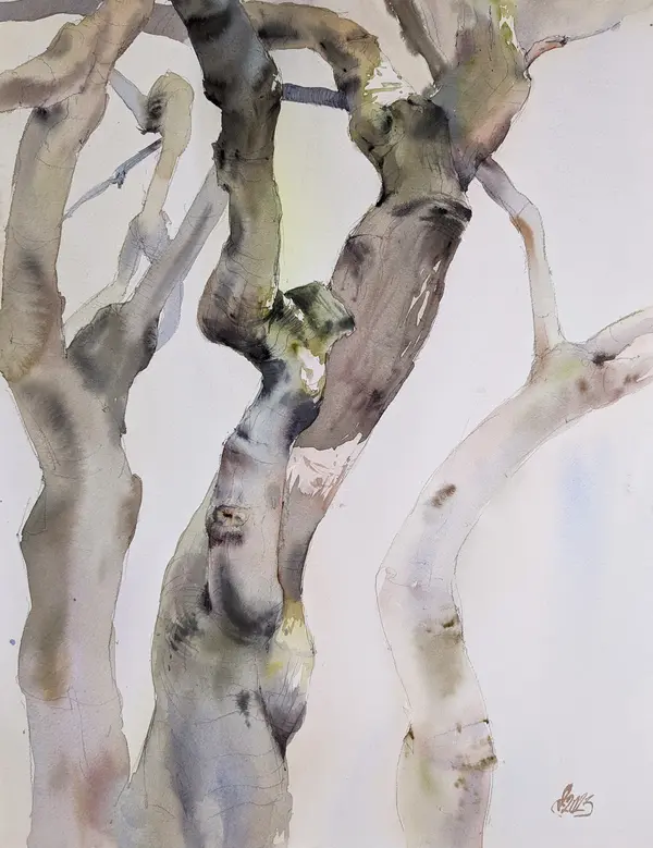 Intricacy — Plein air painting of tree trunks, Volunteer Park, Seattle